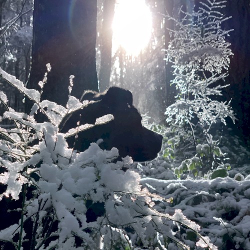 Scenes - ambient and cinematic works