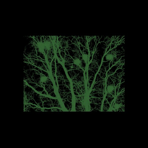 Selected Ambient Works (Volume 1)
