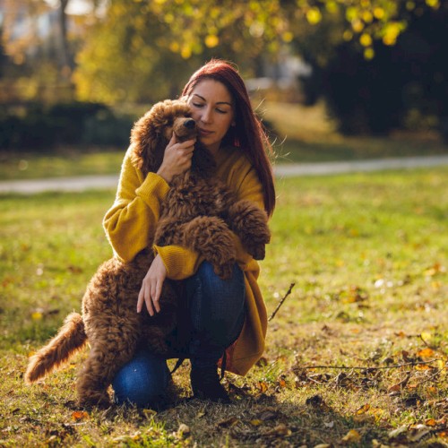 Pet’s Tranquil Haven