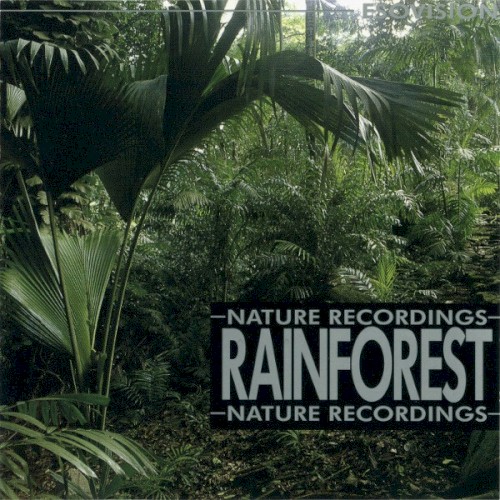 Rainforest