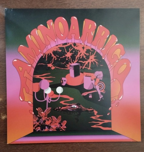 Aminoácido &ndash; Aminoarrigo