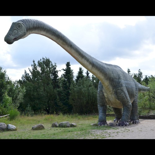 🦕