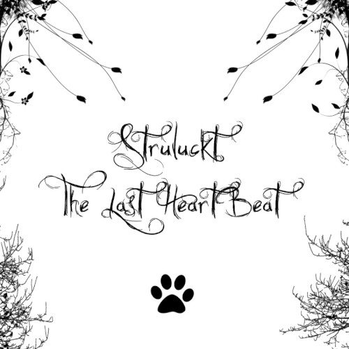 The Last HeartBeat