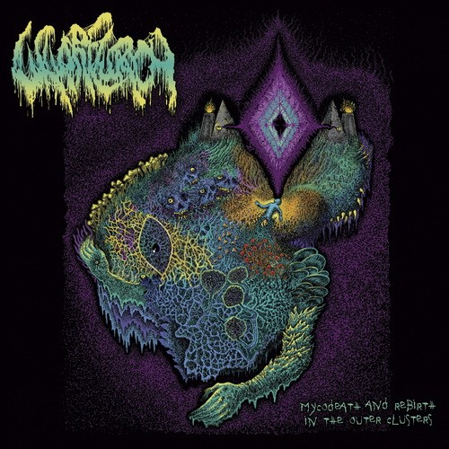 Mycodeath and Rebirth in the Outer Clusters