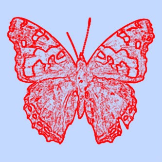 Red Admiral LP