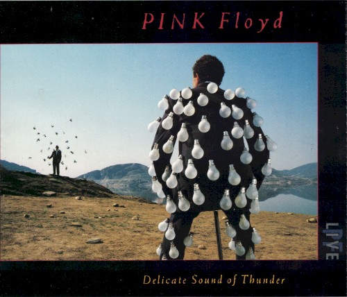 Delicate Sound of Thunder
