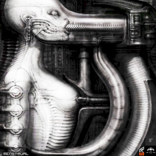 AR8 - Menstrual