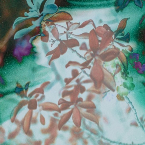 entropy