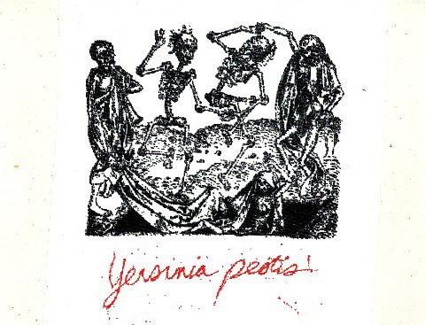 Yersinia Pestis