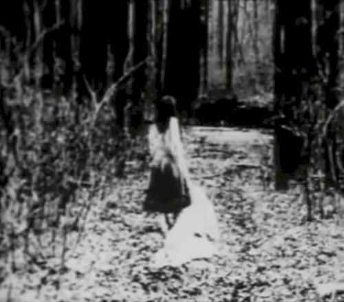 Begotten Chapter VII