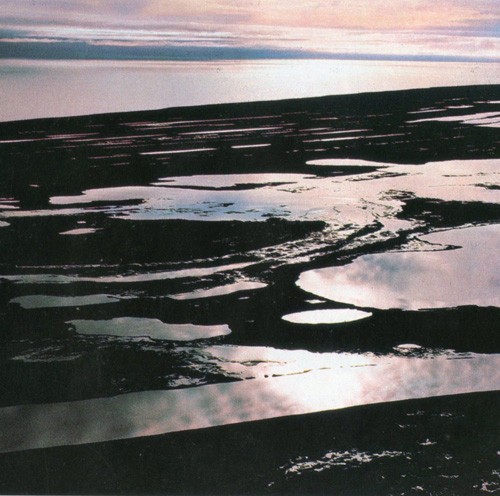 Lake Reflection Catalyst
