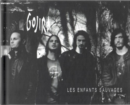 Les Enfants sauvages