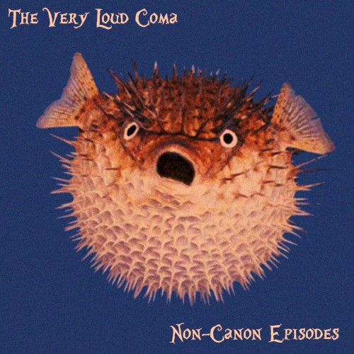Non-Canon Episodes