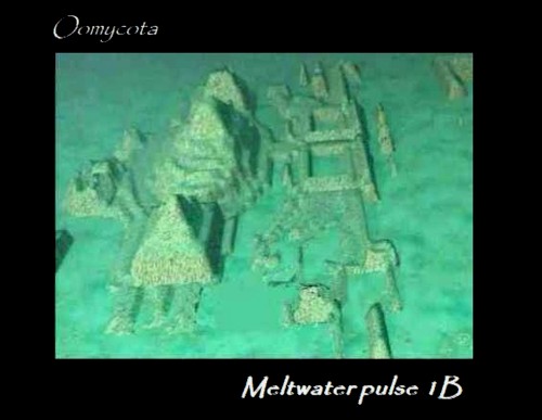 Meltwater Pulse 1B