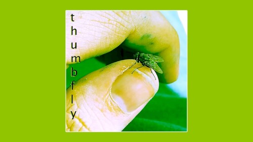 thumbfly