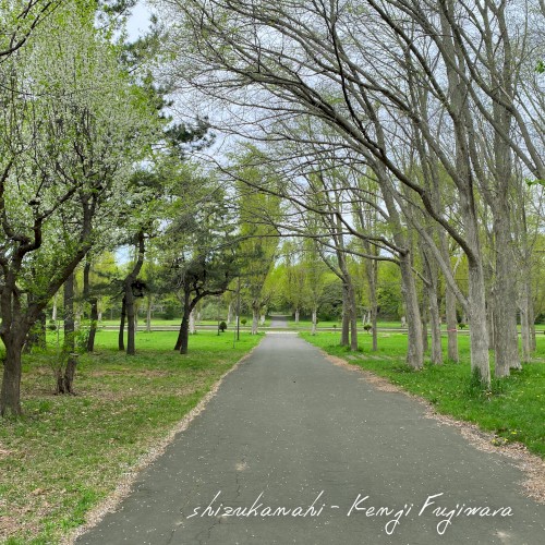 shizukanahi