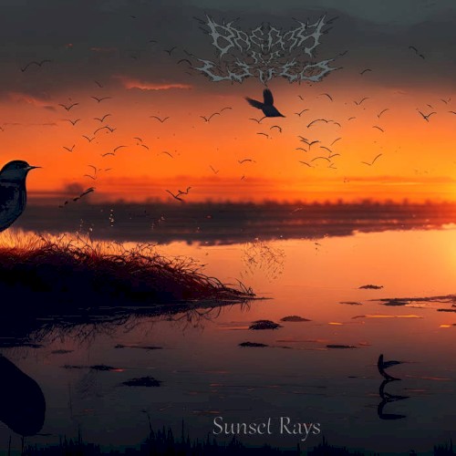 Sunset Rays