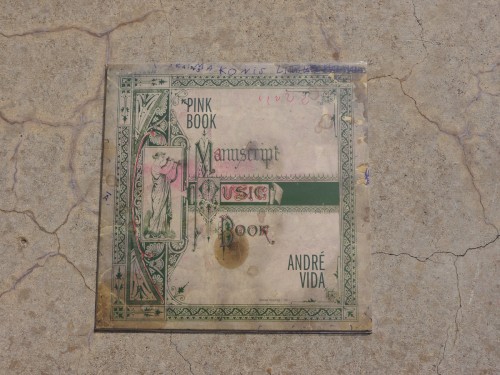 Pink Book