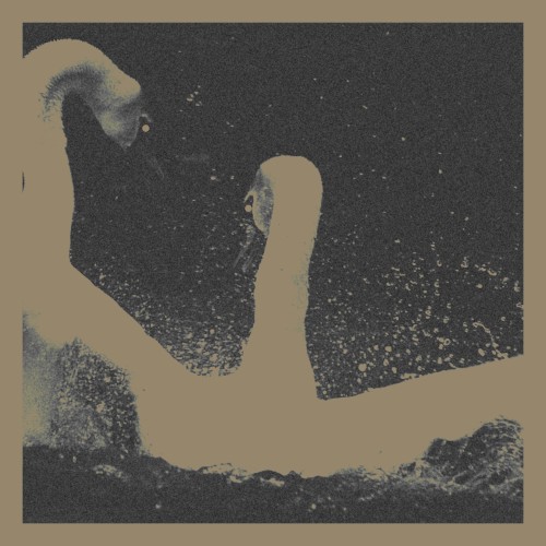 Nihhus / Likvaka