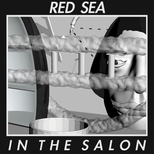 In the Salon