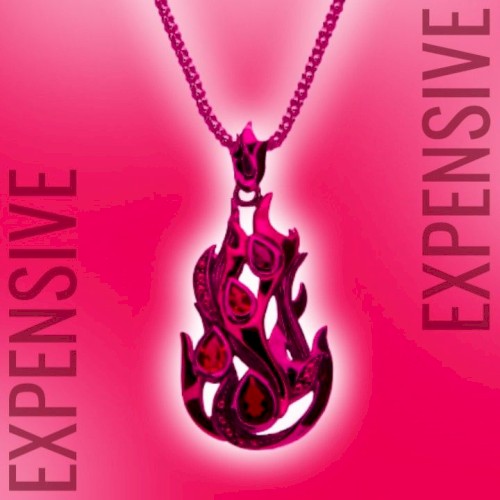 EXPENSIVE