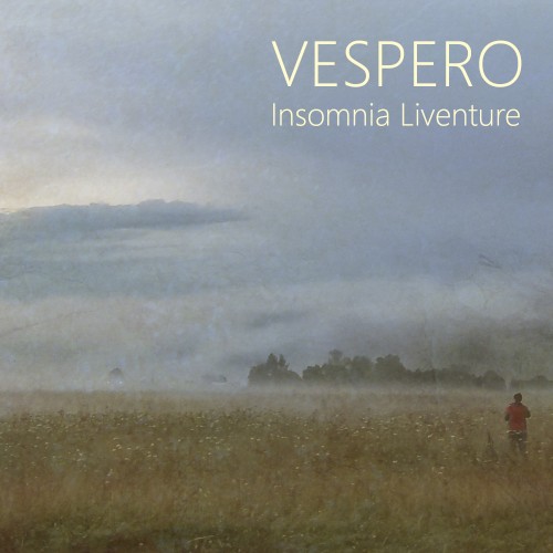 Insomnia Liventure