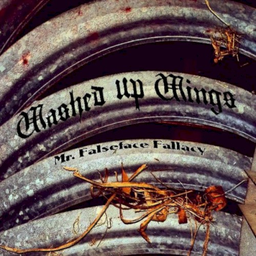 Mr Falseface Fallacy