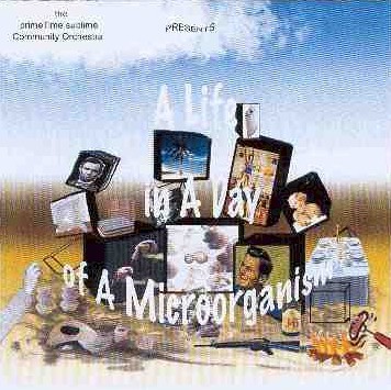 A Life in a Day of a Microorganism