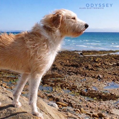 Odyssey