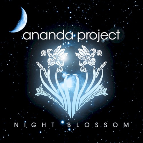 Night Blossom