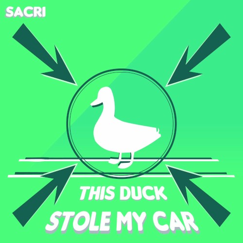 This Duck Stole My Car