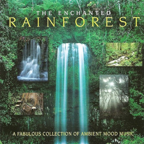 The Enchanted Rainforest