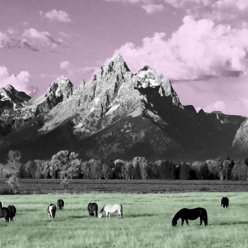 Yellowstone