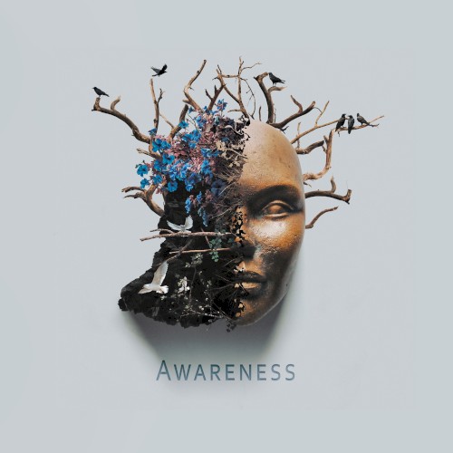 Awareness