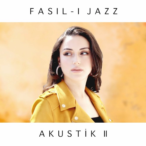 Akustik II