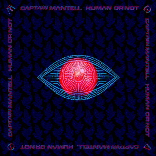 Human or Not