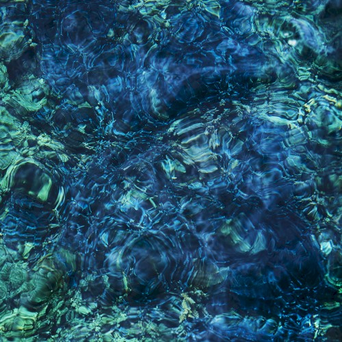 青葉市子 &ndash; Luminescent Creatures