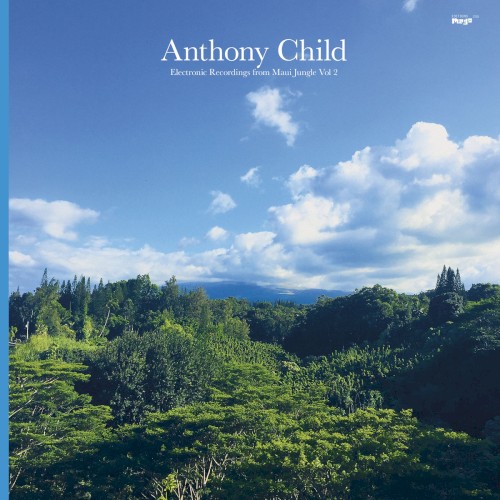 Electronic Recordings from Maui Jungle Vol. 2