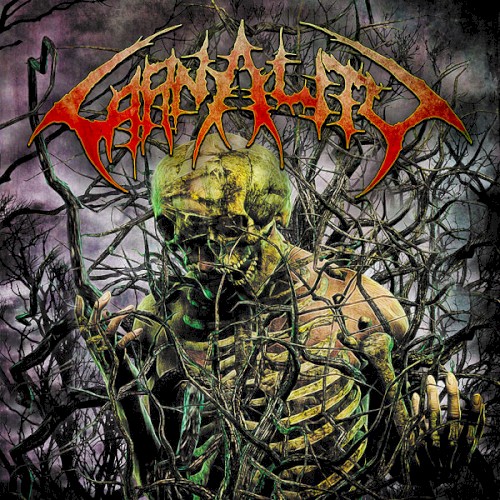Carnality