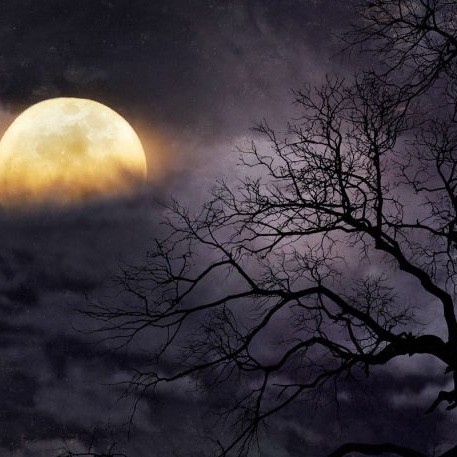Voices of the Night