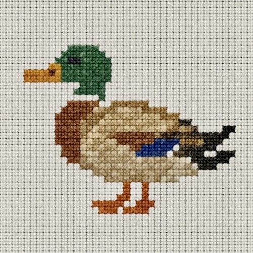 QUACK