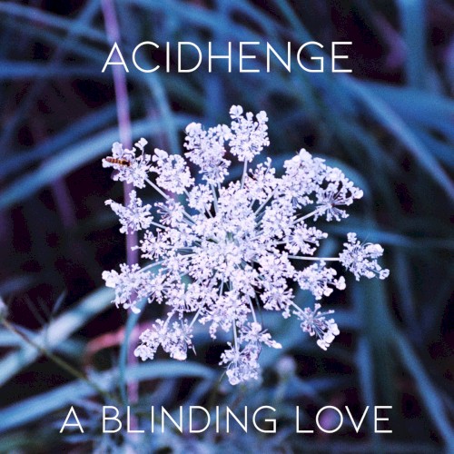 A BLINDING LOVE