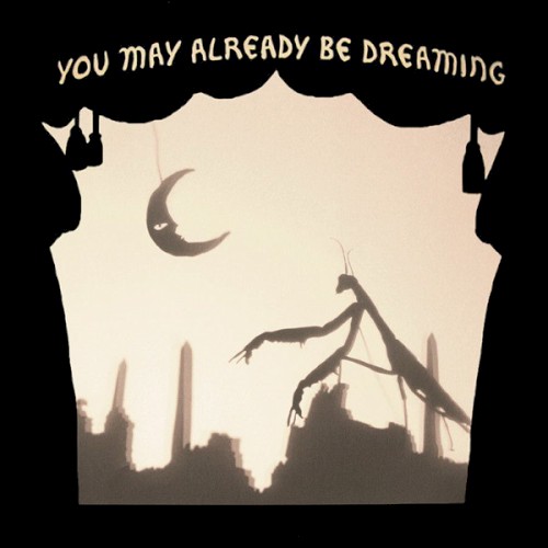 You May Already Be Dreaming