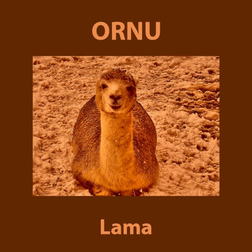 Lama