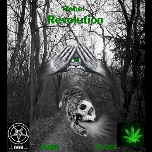 Rebel Revolution