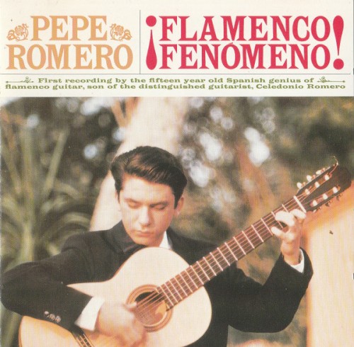 Flamenco Fenómeno!
