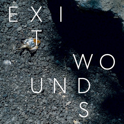 Exit Wounds