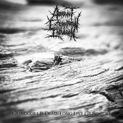 Grindcore Is Dead...Long Live Grindcore