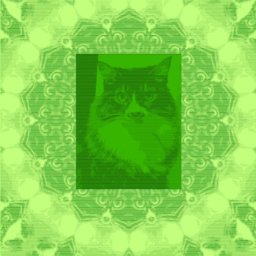Clover