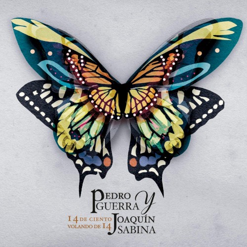 14 de ciento volando de 14